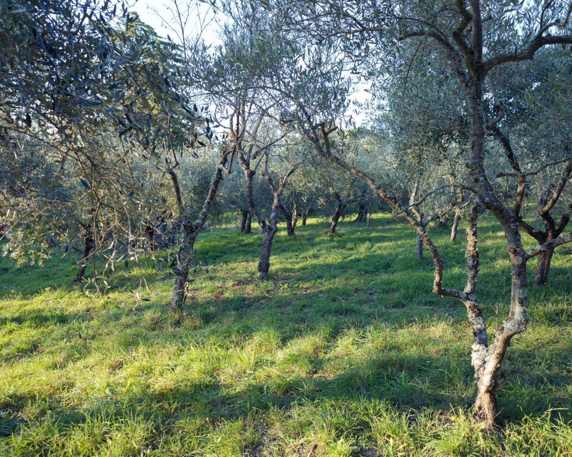 Il Nuvoloso 2 Città della Pieve Exteriör bild